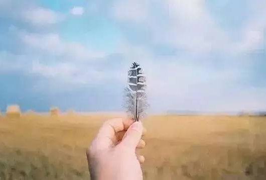 广州情感心理咨询