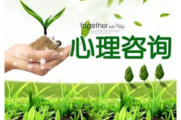 淮安综合心理咨询价格表