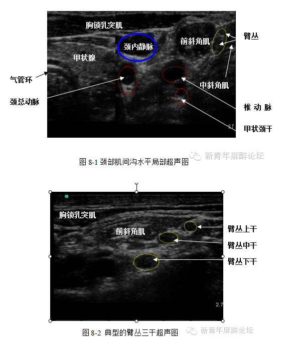 青少年性心理咨询_昆明青少年心里咨询_沧州青少年心理咨询