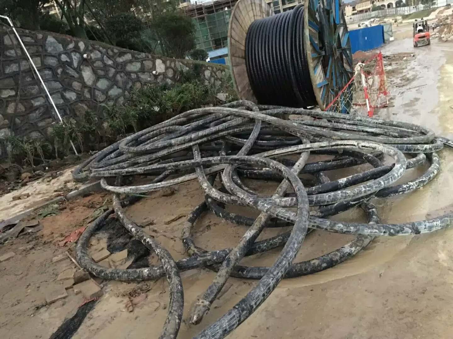 电动车废电机拆解设备_衡阳废电机多少钱_电机是危废吗