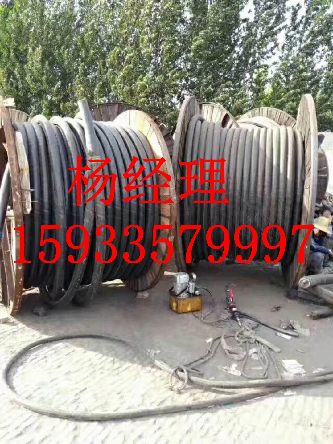 市铜电缆回收联系
