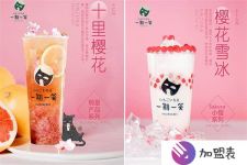 宁波加盟店多少钱