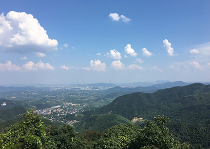 长沙废品（废铜、废铝、废纸）回收价大面积上涨