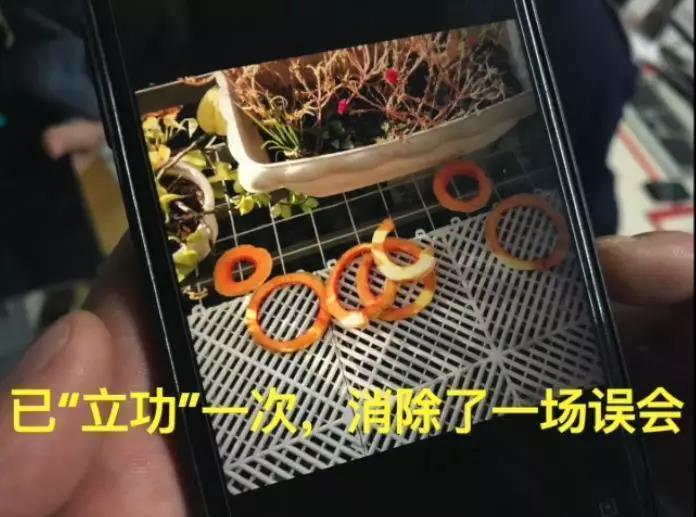 霸气！浙江一小区花14万装了64个摄像头，集体朝上！效果太惊人