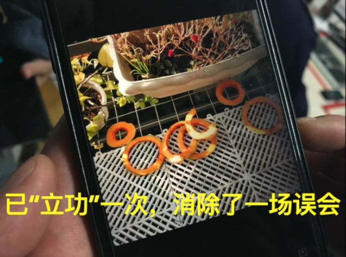 霸气！浙江一小区花14万装了64个摄像头，集体朝上！效果太惊人