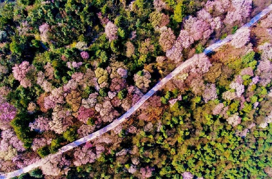樱花热水器官网电话_飞羽热水龙头漏水怎样维修视屏_沈阳樱花热水器维修中心