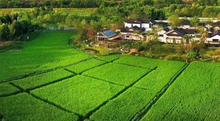 杭州买厂房_杭州厂房收购_杭州 厂房 出租