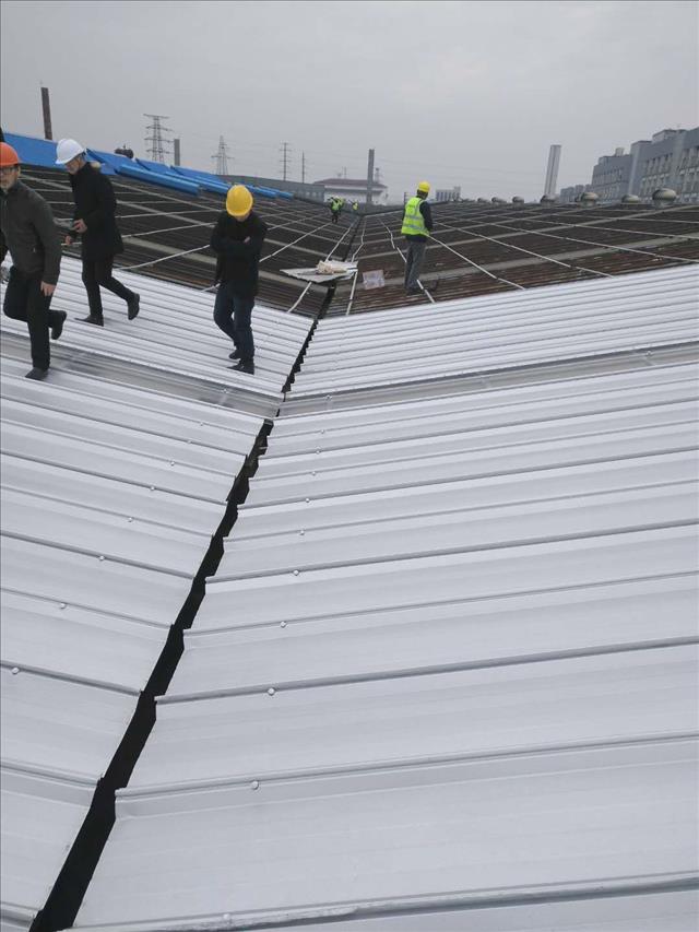 苏州整厂转让_无梭织带机整厂转让_上海整厂物资回收