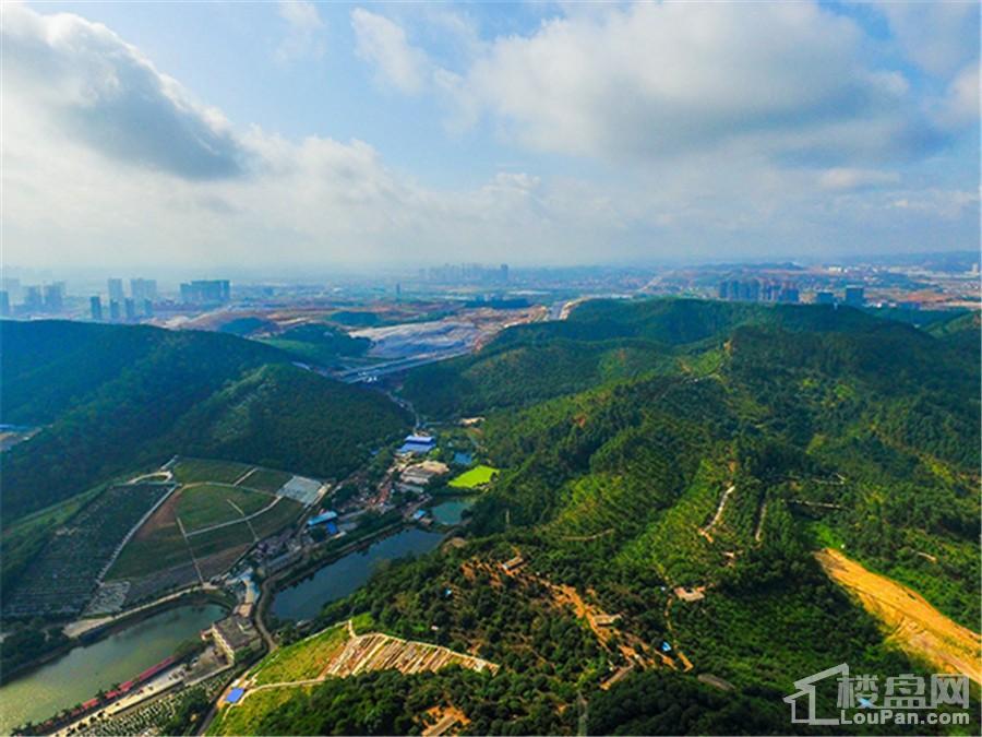 南宁松下空调售后维修中心_奥克斯空调维修售后哪家好_三洋空调全国维修售后