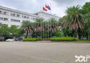 惠州厂房转让