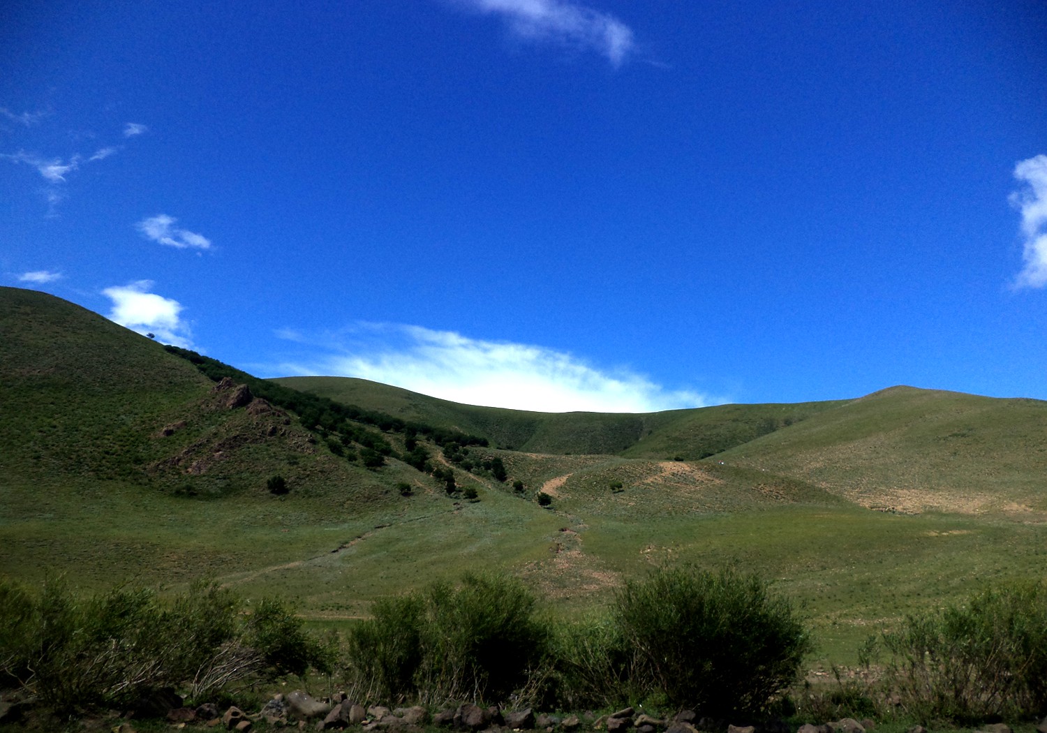 重庆TCL空调售后_济南tcl空调售后_tcl空调重庆售后服务电话