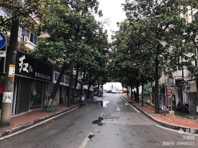 长沙格力空调售后_长沙三洋空调售后电话_长沙开利空调售后电话