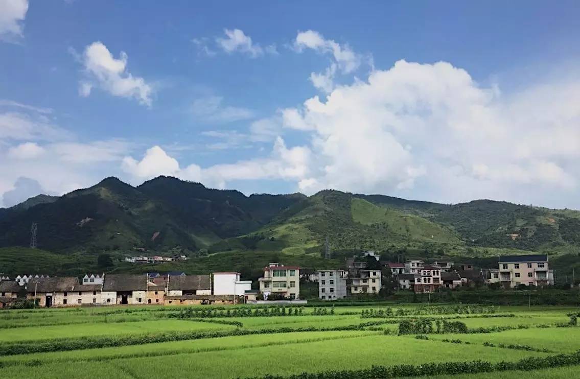天津TCL空调维修电话_宁波tcl空调维修电话_上海tcl空调维修电话